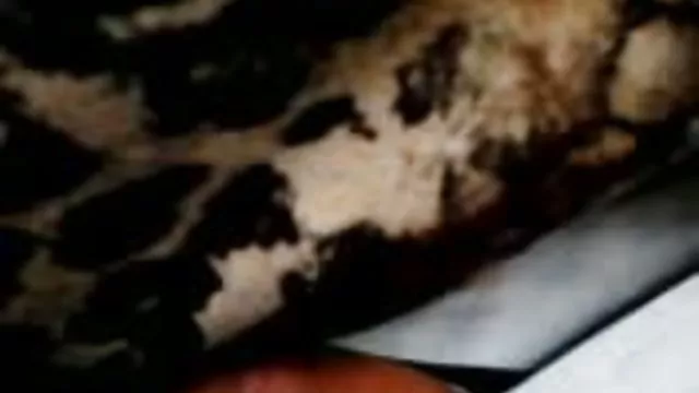 XXX bez rejestracji 3D hentai a w tym samym czasie darmowe strony sex złapał wyrok