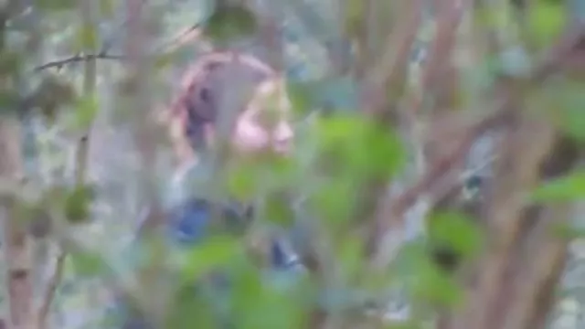 XXX bez rejestracji Amatorskie Angielski sex filmiki za darmo na tel